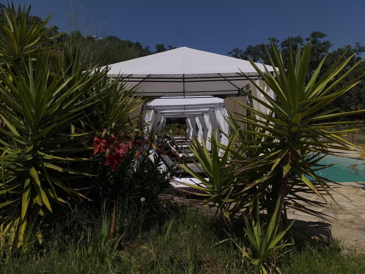 El Sosiego Hotell Villamiel Exteriör bild